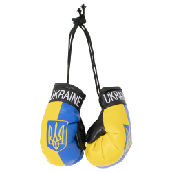 Boxhandschuhe Ukraine für das Auto