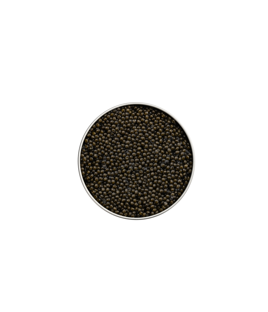 Sturgeon Caviar 100g