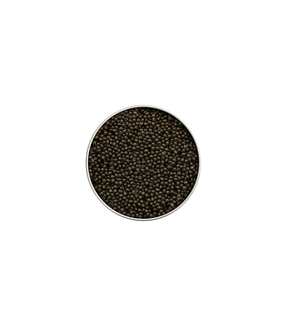 Sturgeon Caviar 100g