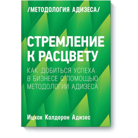 Как добиться успеха в бизнесе с помощью методологии Адизеса